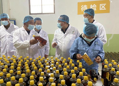 天津市甘肅商會赴武山縣考察，共探農產品與工藝品產銷合作新機遇