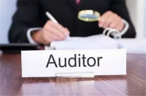 互聯(lián)網(wǎng)電子商務(wù)企業(yè)應(yīng)對財(cái)報(bào)審計(jì)風(fēng)險(xiǎn)的建議