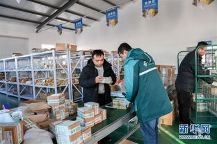 打造產(chǎn)業(yè)園區(qū)，賦能農(nóng)產(chǎn)品銷售，構(gòu)建電子商務(wù)新生態(tài)