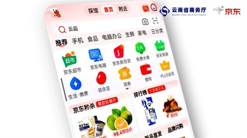 四季云品，產(chǎn)地云南 電商年貨節(jié)盛典啟幕，點(diǎn)燃新春消費(fèi)熱情